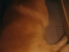 -東豫狼鲜货烧烤. 碳火烤鱼. 小龙虾(上海首店)