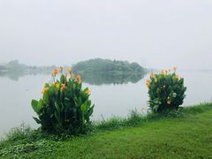 -飞来湖湿地公园