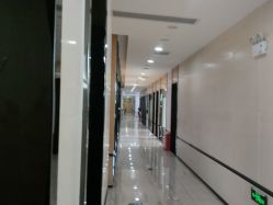 -雍禾植发