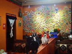 大堂-如意林卡藏餐吧(大昭寺店)