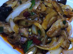 -范记靖远羊羔肉(博物馆店)