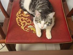 -达爱动物医院·犬猫分区·CT·复杂眼科(远洋山水分院)