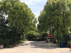 -南汇桃花村