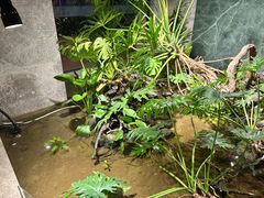 -宴周康·精致江浙菜(周浦店)