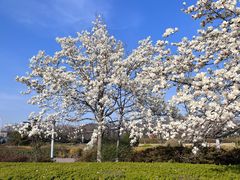-青岛汇泉商业广场