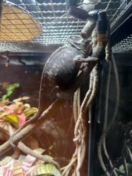 -Zoolung Zoolung动物主题公园(海信广场店)