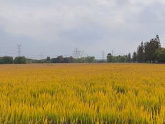 -嘉北郊野公园