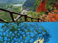 -荔江湾景区