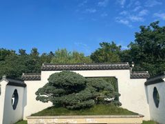 -盆景园(扬州大运河文化旅游度假区)