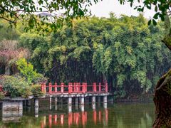 -棠湖公园