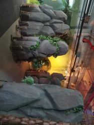 点击看大图 -恐龙探索乐园(磁器口店)