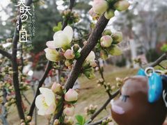 -雁滩公园