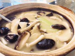 -花溪雨·森林餐厅(石基店)