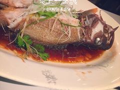-苏浙汇(朝外店)
