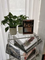 -DEM缔怡美科技美容