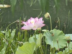 -雅达·阳羡溪山小镇中心