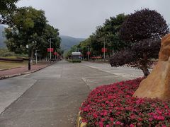 -风云岭森林公园