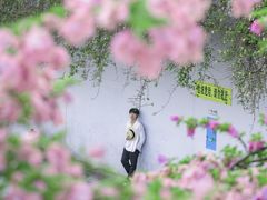 -深圳仙湖植物园-停车场