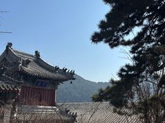 -潭柘寺景区