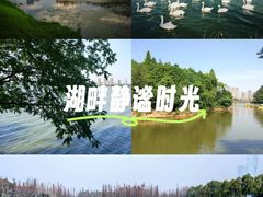 -艾溪湖湿地公园