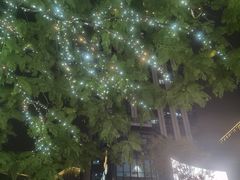 -龙湖重庆时代天街