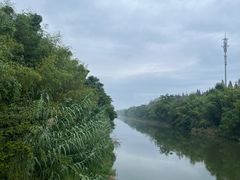 -黄海国家森林公园