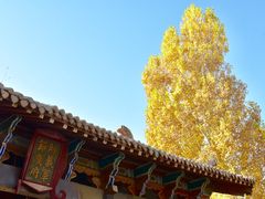 -敦煌古城