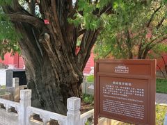 -北京市劳动人民文化宫(太庙)