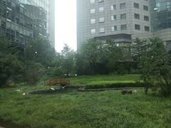 -星巴克(北京西大望路温特莱店)