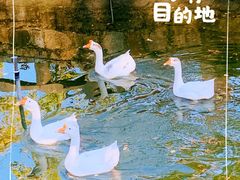 -苏州碑刻博物馆