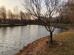 -东郊湿地公园