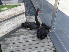 -南京圣和府邸豪华精选酒店