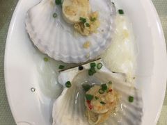 扇贝-新享乐海鲜(翠华路店)