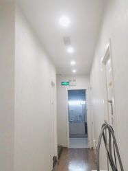 -YESIDO椰岛造型