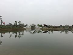 -金卉庄园