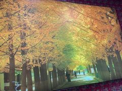 -边江铁锅炖鱼(振八街店)