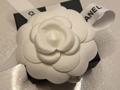 -Chanel(德基广场店)