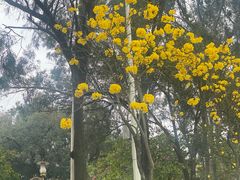 -广州莲花山旅游区