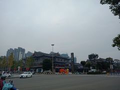 -眉山湿地公园(东坡区)