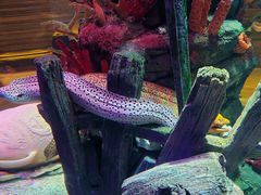 -沈阳海洋探索中心