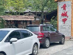 -青城甲(青城山店)