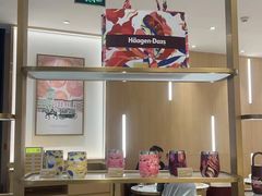 -哈根达斯(国瑞店)