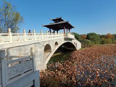 -东湖落雁景区