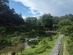 -东莞植物园