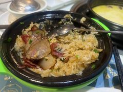 -顺德公猪肚鸡·椰子鸡(惠东天虹店)