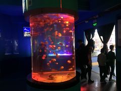 -左海海底世界