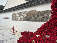 -青果巷历史文化街区