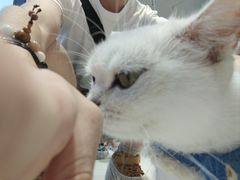 -怪兽屋·羊驼·猫咖·狗咖(俊华广场店)