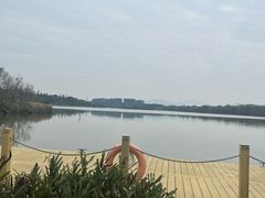-华侨城湿地公园