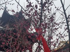 -宝通禅寺